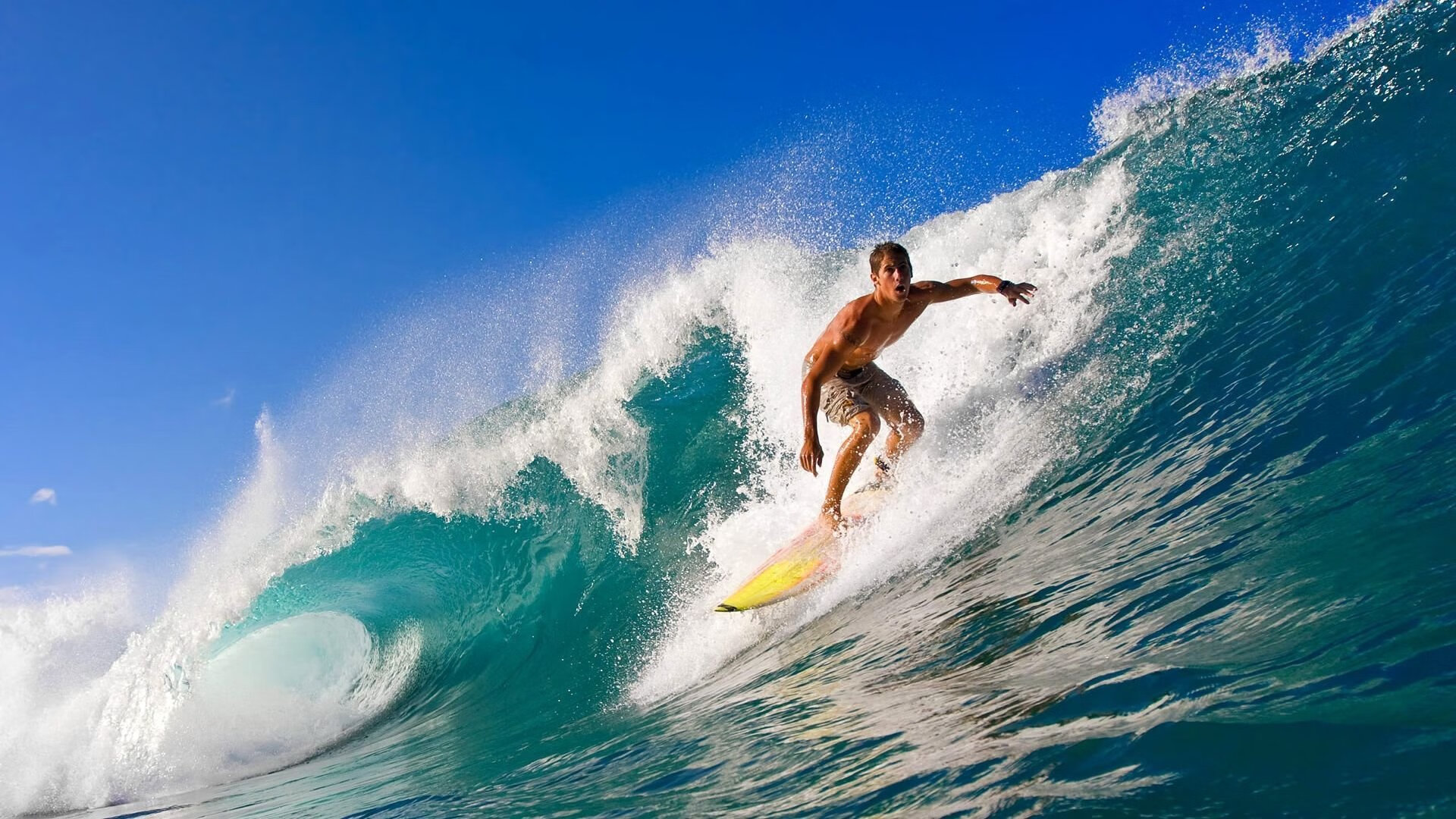 体育明星社交媒体营销